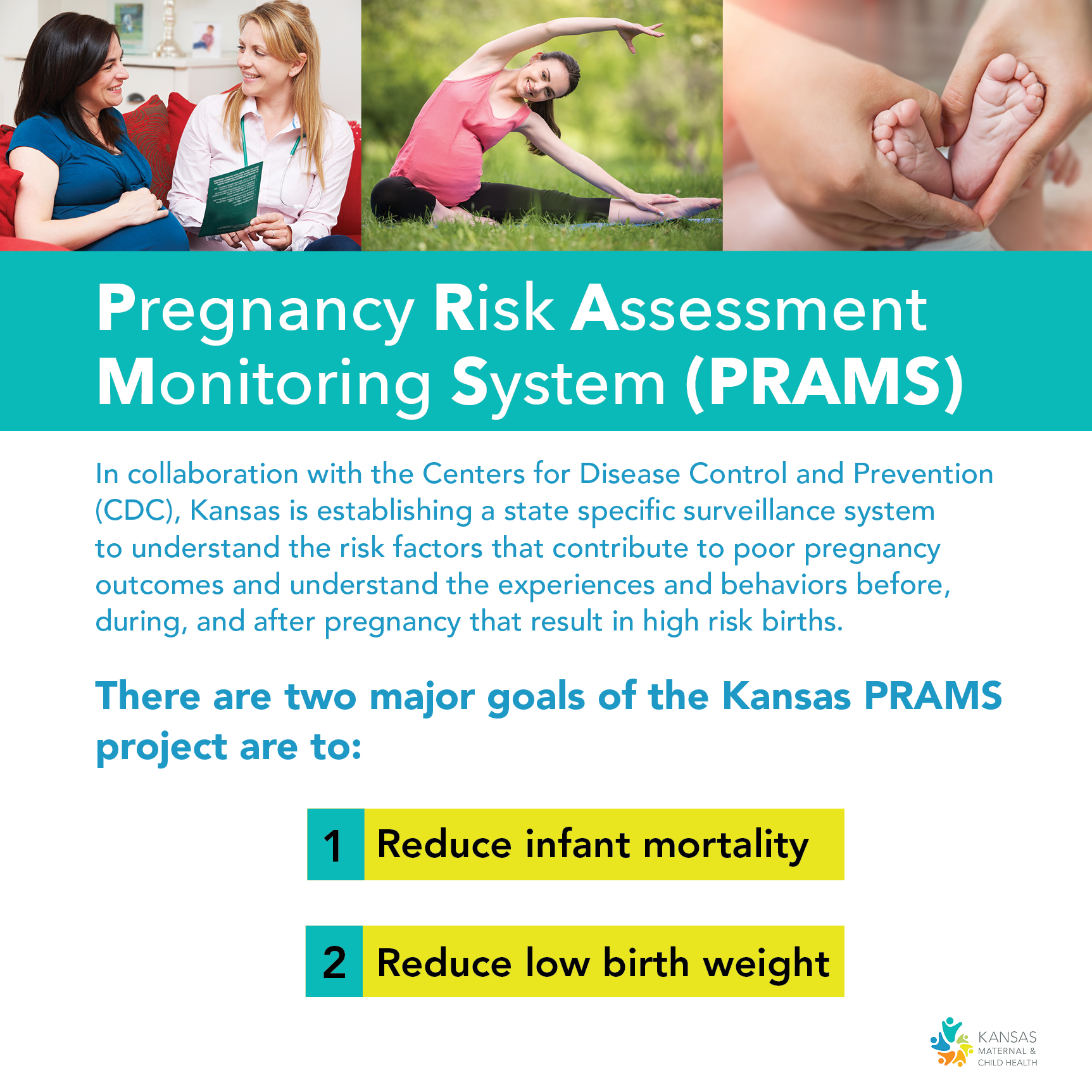 PRAMS graphic